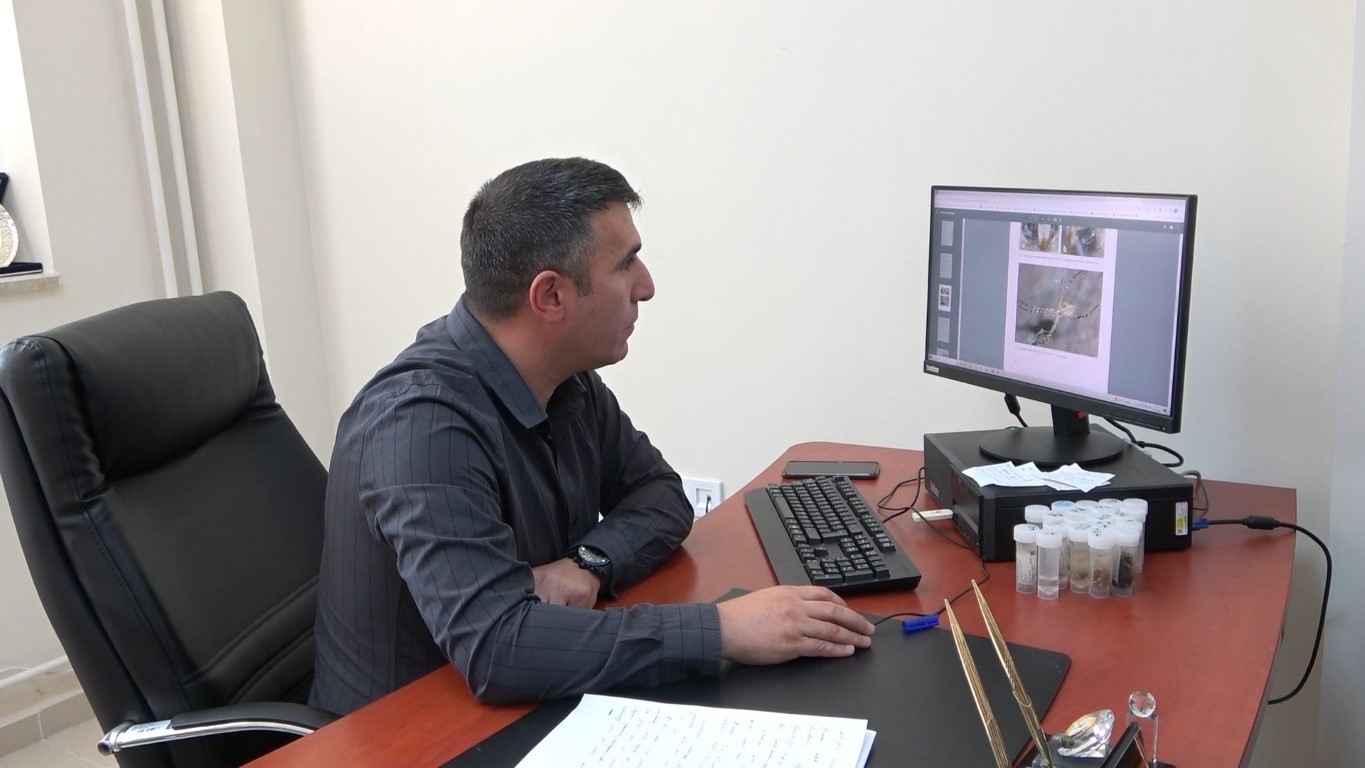 O örümcekle ilgili uzmanlardan rahatlatan açıklama