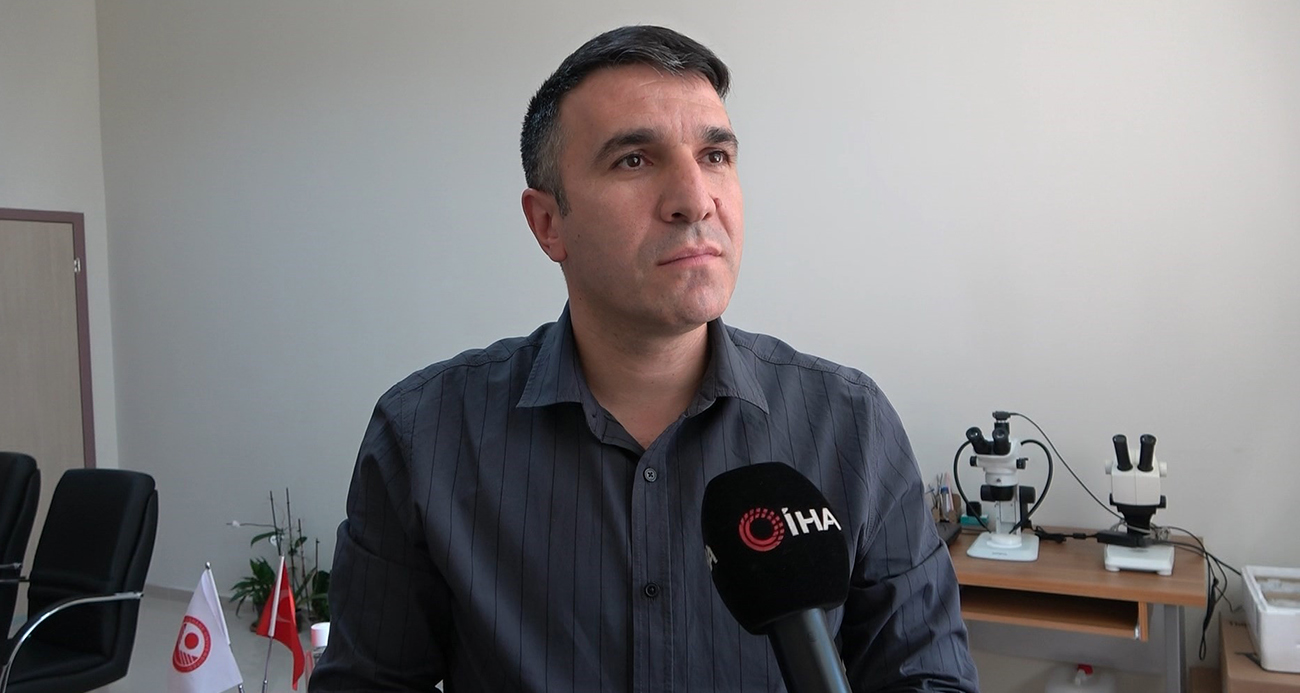 O örümcekle ilgili uzmanlardan rahatlatan açıklama