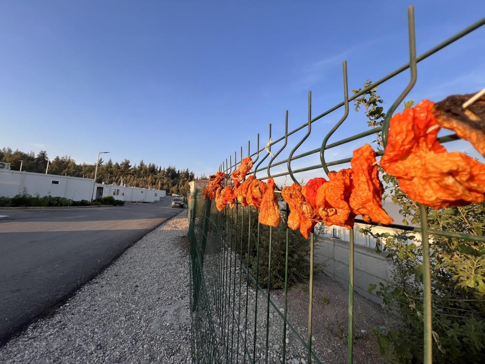Konteyner kentte kışlık telaşı