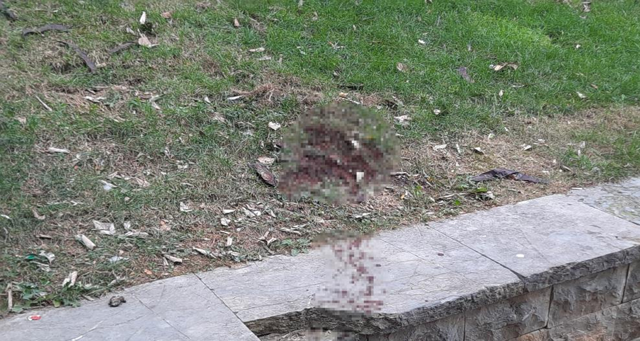 Ünlü oyuncu Seda Fettahoğlu parkta ölü bulundu