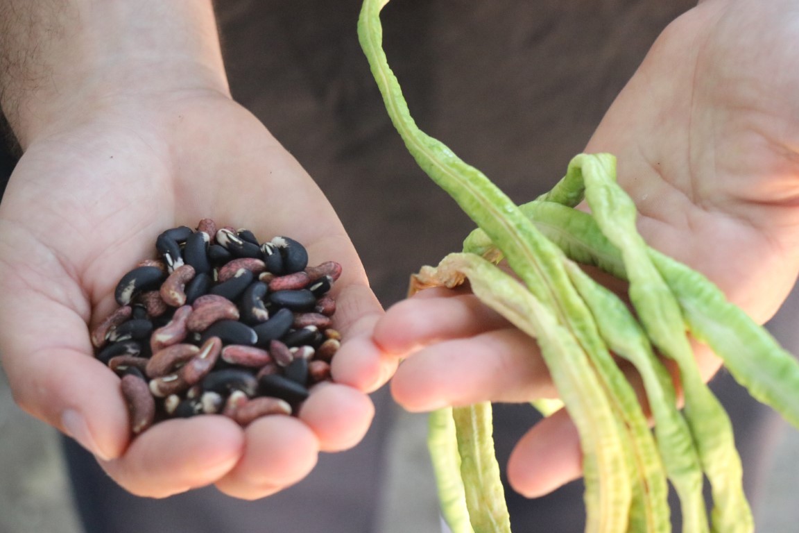Endonezya’dan getirdi, taleplere yetişemiyor