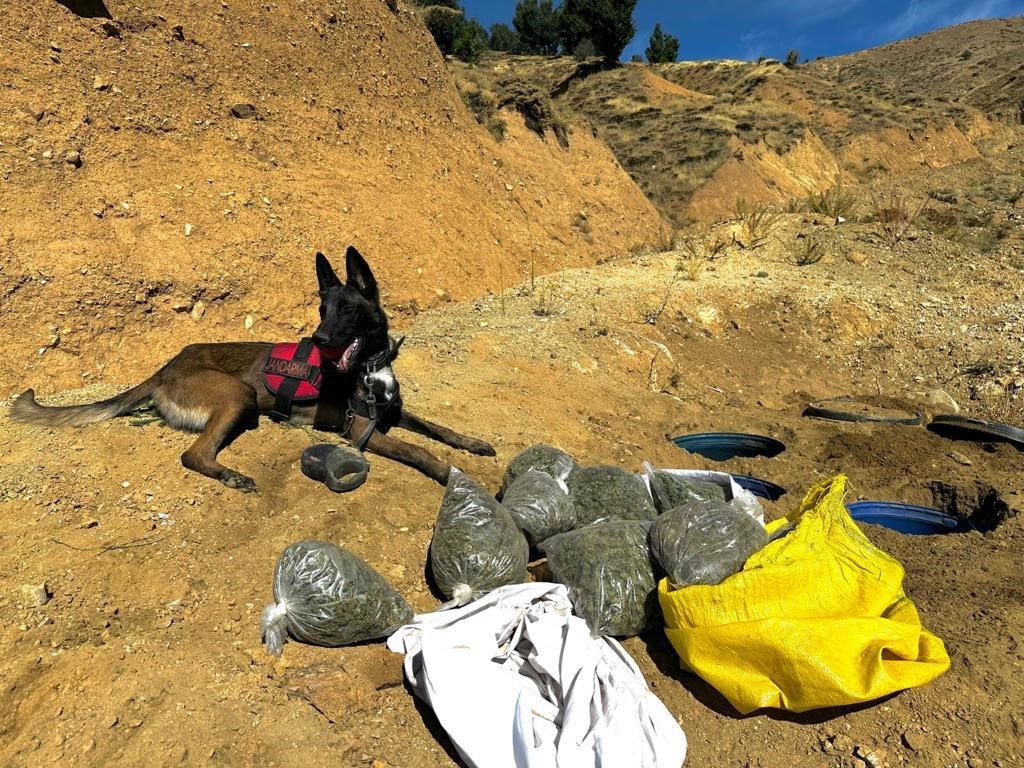 Diyarbakır’da 2 milyon 64 bin kök kenevir ve skunk ile 812 kilo esrar ele geçirildi