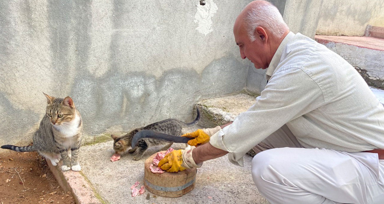 Depremde tedavi edip iyileştirdiler, şimdi ailenin parçası oldu