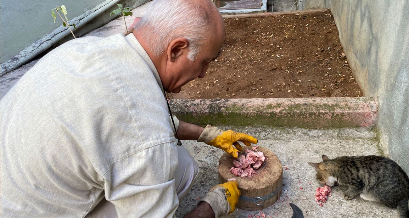 Depremde tedavi edip iyileştirdiler, şimdi ailenin parçası oldu