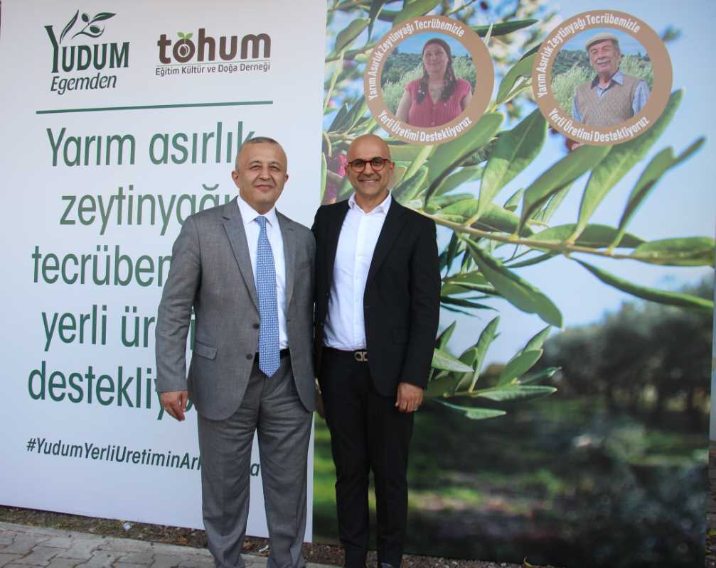 Türkiye’deki delice zeytinleri ekonomiye kazandırılmaya devam ediyor