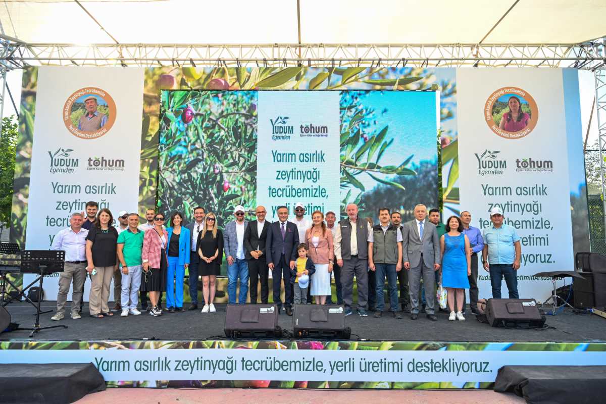 Türkiye’deki delice zeytinleri ekonomiye kazandırılmaya devam ediyor