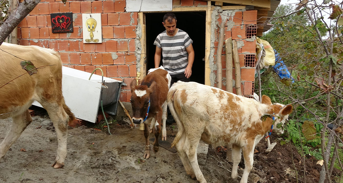 Beslediği danalara huylarına göre İsrail, Fransa, Yunanistan ve ABD devlet adamlarının adını verdi