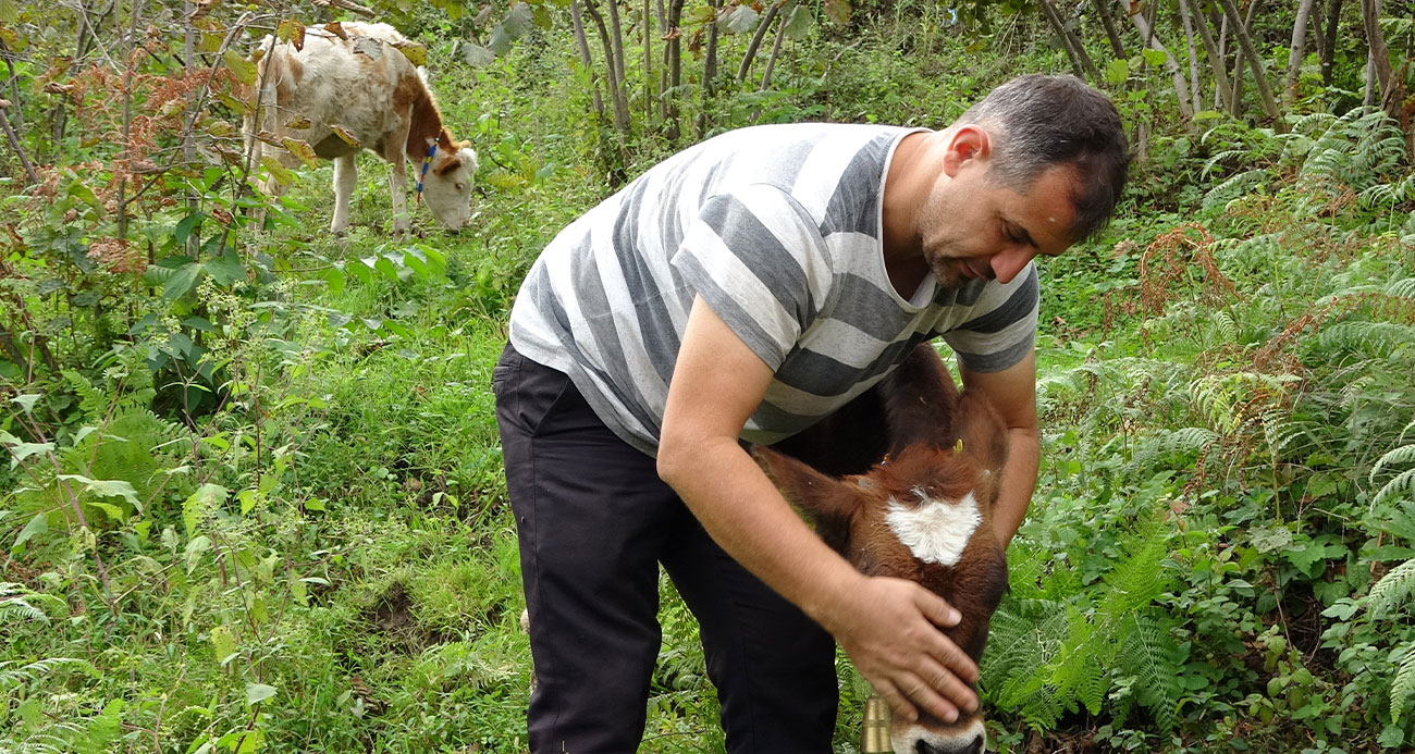 Beslediği danalara huylarına göre İsrail, Fransa, Yunanistan ve ABD devlet adamlarının adını verdi