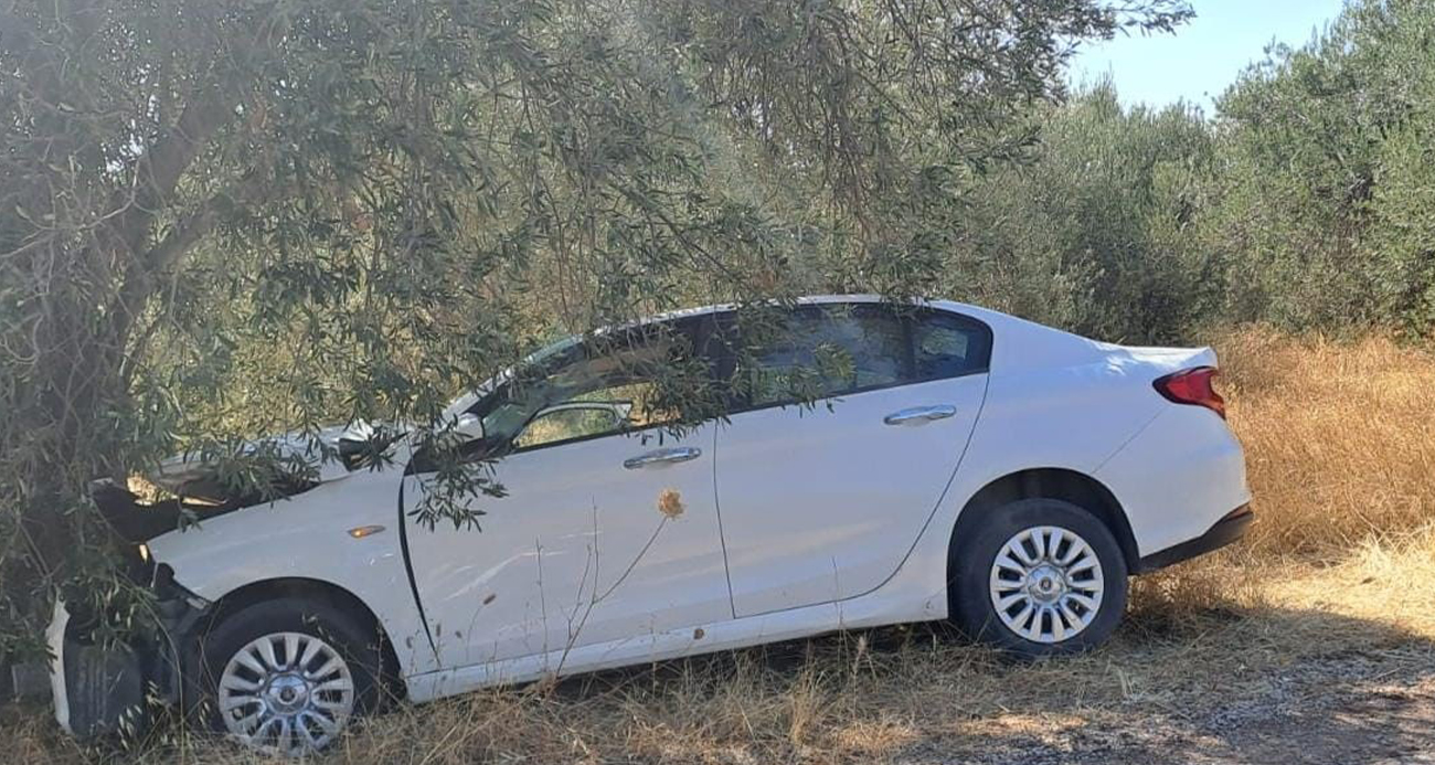 canakkale-otomobil-zeytin-agaci-carpti-1-olu-1-yarali