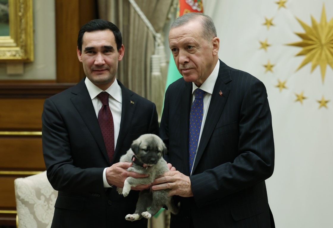 Cumhurbaşkanı Erdoğan ve Berdimuhammedov birbirlerine köpek hediye etti