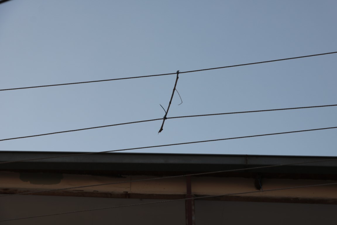 Elektrik telleri birbirine değmesin diye ‘ağaç dalı’ ile bağlanmış