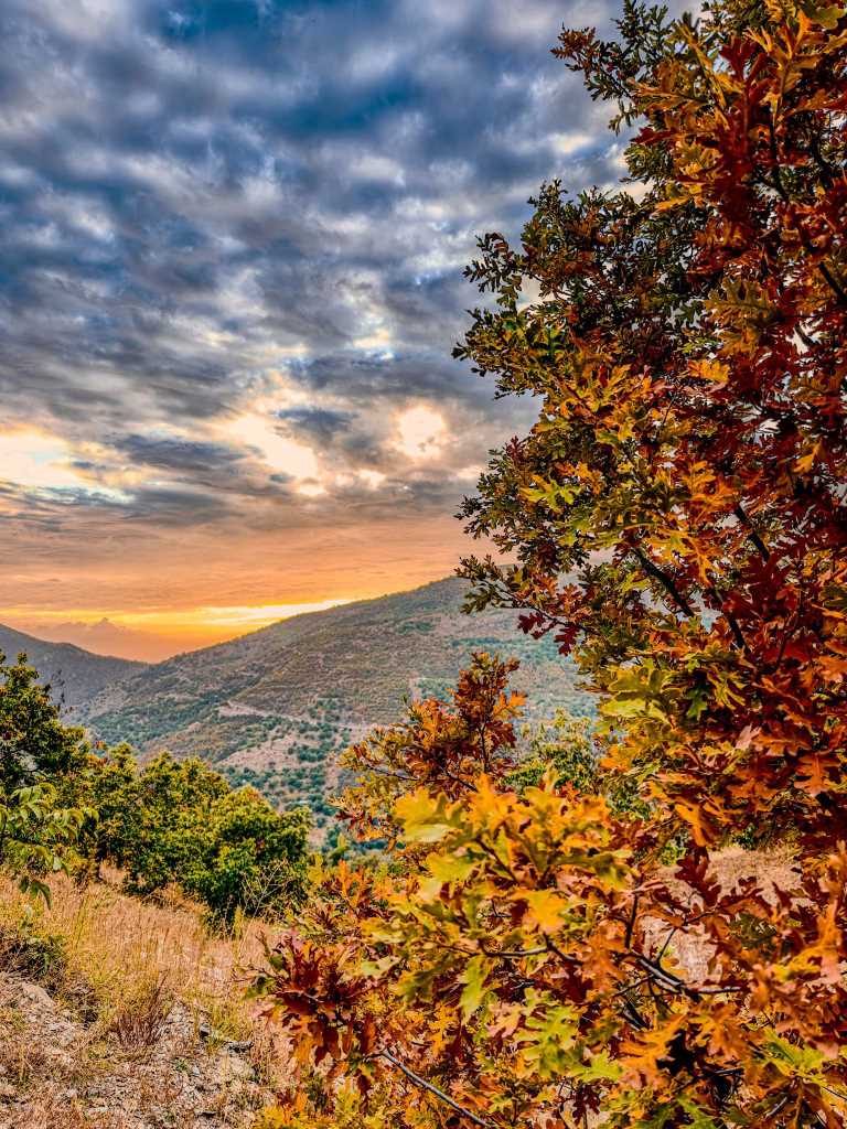 Aydın dağlarındaki son bahar manzaraları mest etti