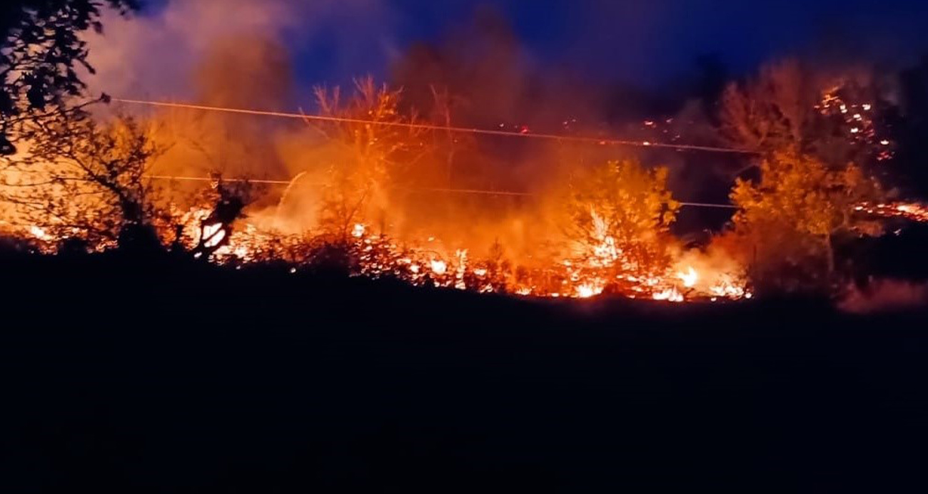 Çan’da çıkan orman yangınları kontrol altına alındı