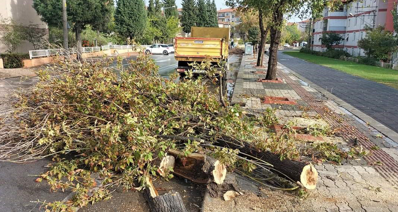 Edirne’de fırtına ve sağanak hayatı olumsuz etkiledi