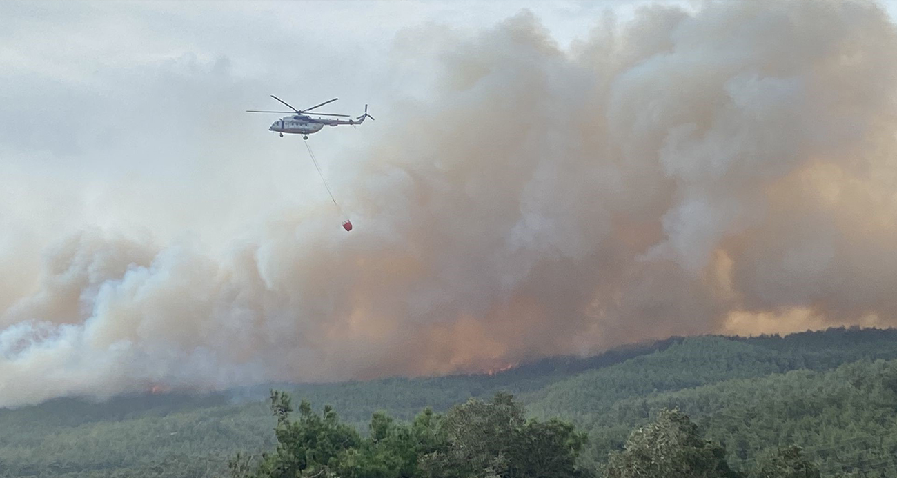 Çanakkale’de orman yangını...Bir köy boşaltıldı