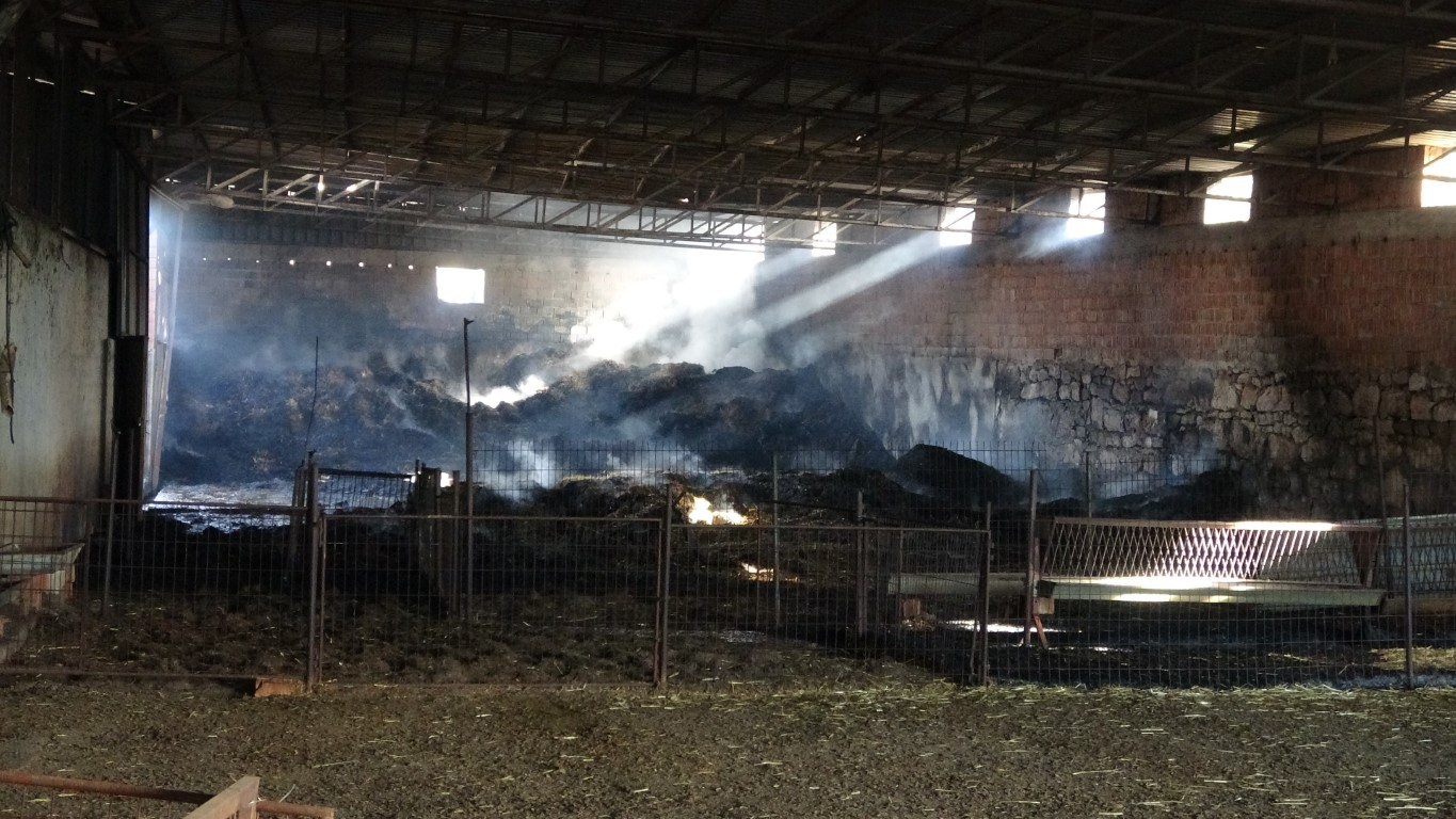 Çanakkale’deki yangında hayvan çiftliğinde 5 milyon TL zarar oluştu
