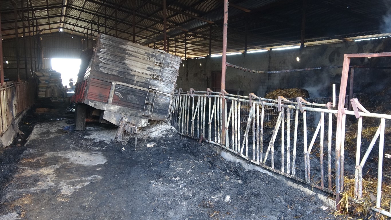 Çanakkale’deki yangında hayvan çiftliğinde 5 milyon TL zarar oluştu