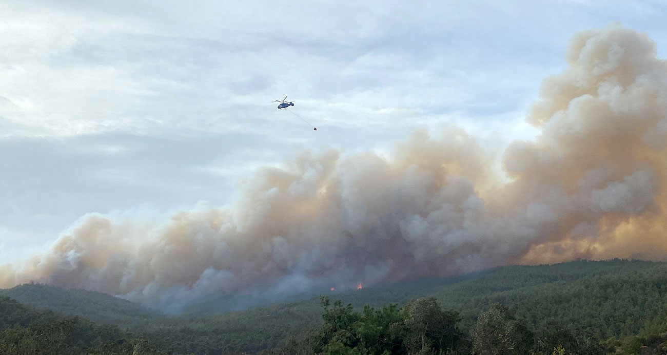 Çanakkale’deki orman yangınında 700 hektarlık alan zarar gördü