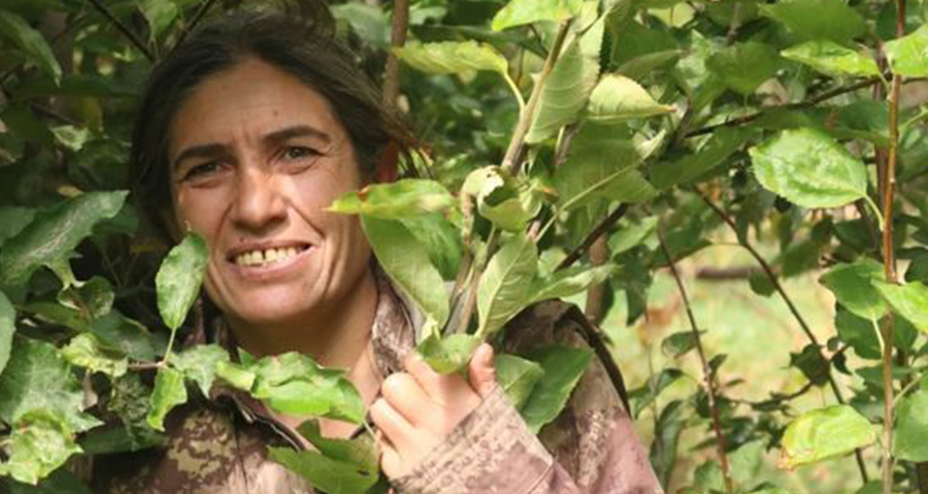 MİT, PKK/KCK Hakurk Toplumsal Alan sözde sorumlularından Tekoşin Cizre kod Arslan’ı etkisiz hale getirdi