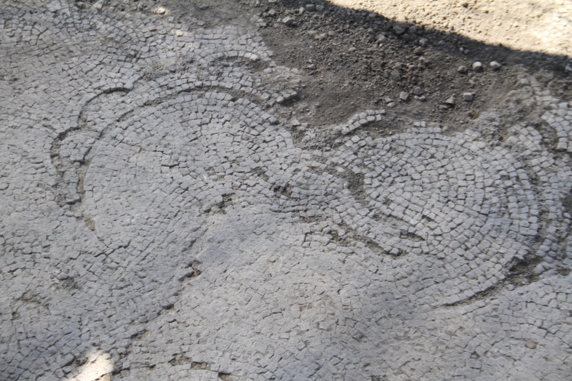 Tarlada 84 metrekarelik alanda keşif: Önce Roma dönemine ait mozaik, ardından duvarlar ortaya çıktı