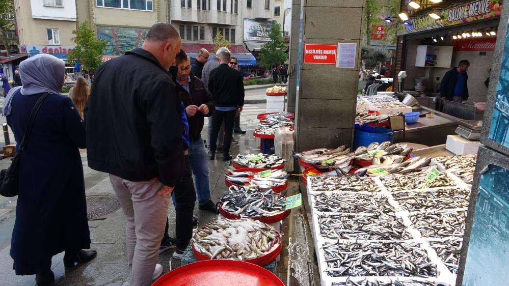 Hamsi sezonu sürüyor, palamut sezonu ise bitti