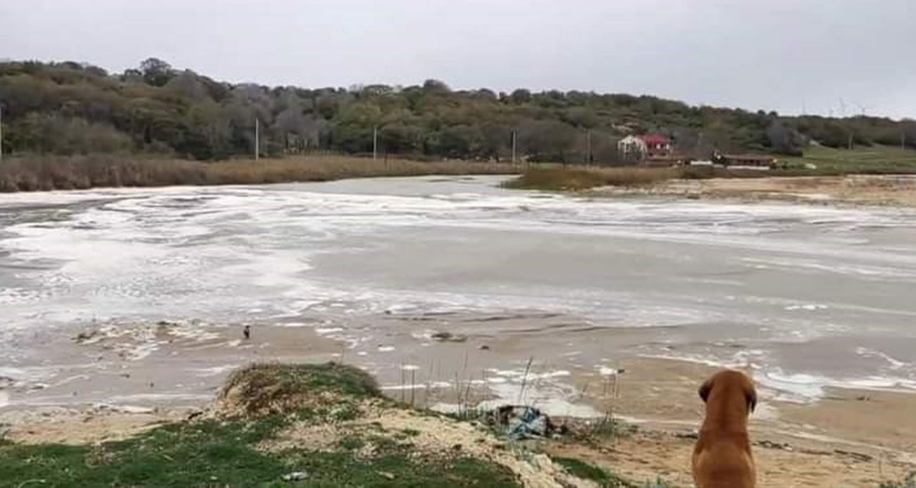 Deniz taşıp dereye karıştı: Bahçeleri su bastı