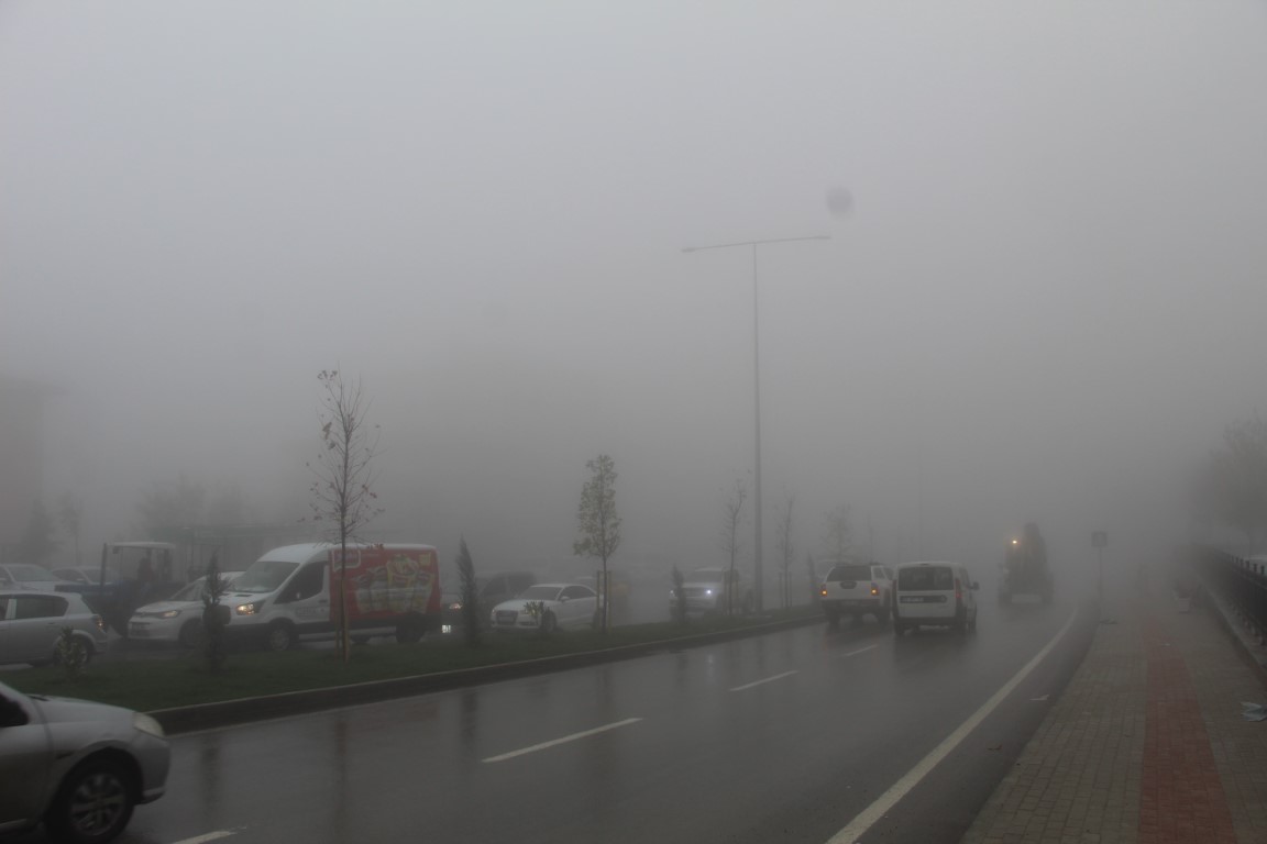 Sel suları ağaçları kökünden söktü