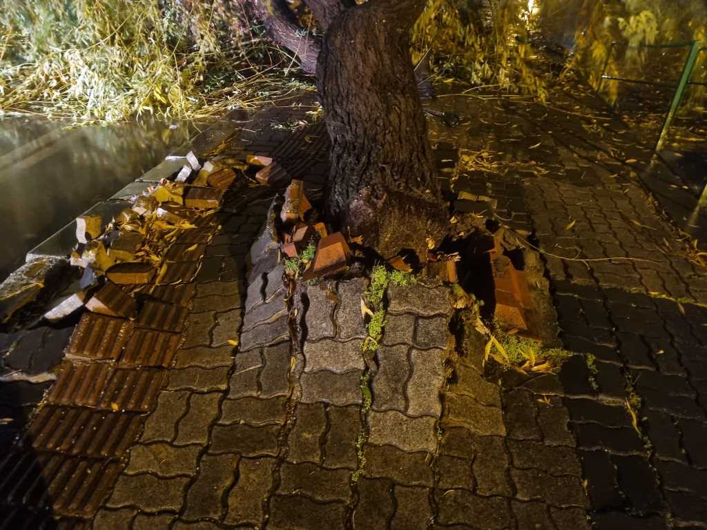 Edirne’de etkili olan sağanak ve fırtına ağaç devirdi, yol trafiğe kapandı