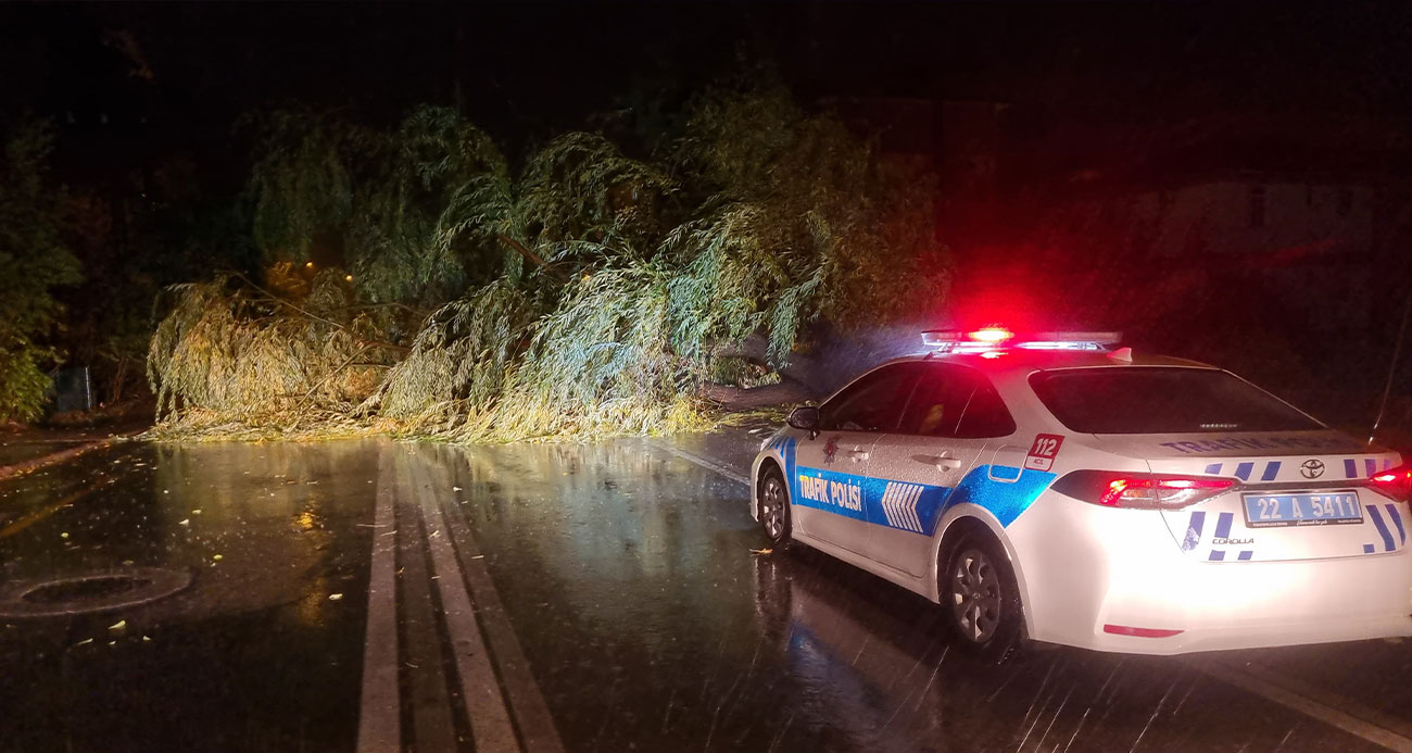 Edirne’de etkili olan sağanak ve fırtına ağaç devirdi, yol trafiğe kapandı