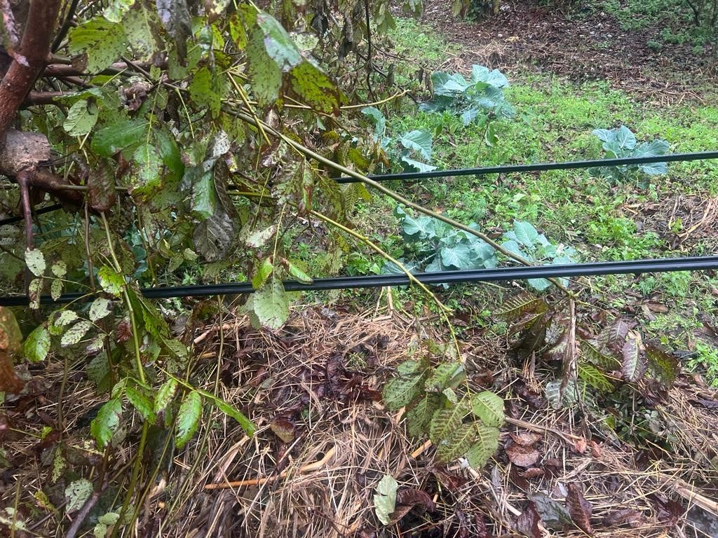 Telefon direkleri tehlike saçıyor