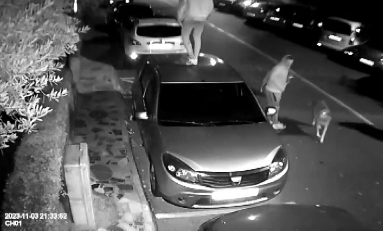 Ataşehir’de vatandaşlar, köpek saldırılarından araçların üzerine çıkarak kurtuldular