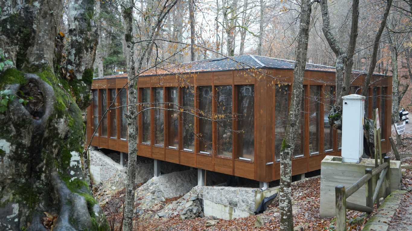 Ormanın içindeki türbenin hikayesi: Buraya gelen aç kalmıyor