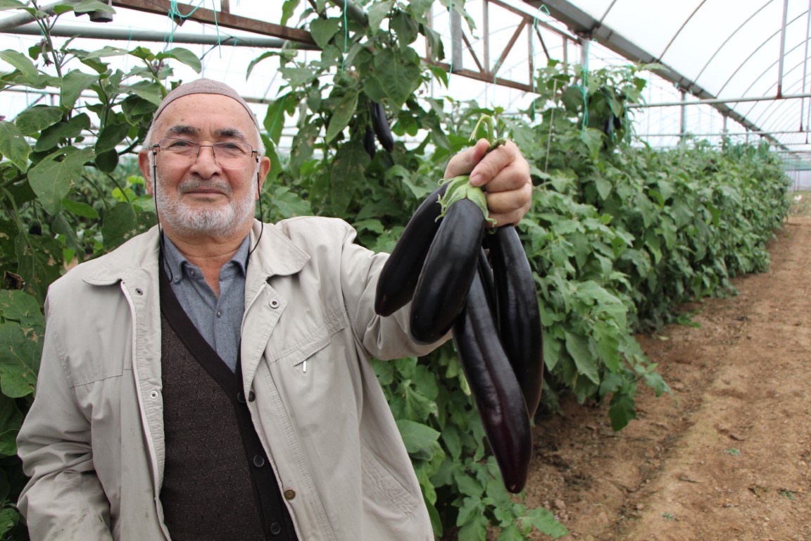 Yazın kilosu 5 lira olan patlıcanları sökmedi, şimdi 17 liradan satıyor