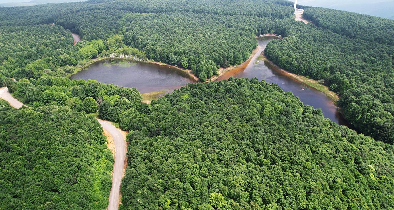 Yalova’nın yeni rotası: Doğa turizmi