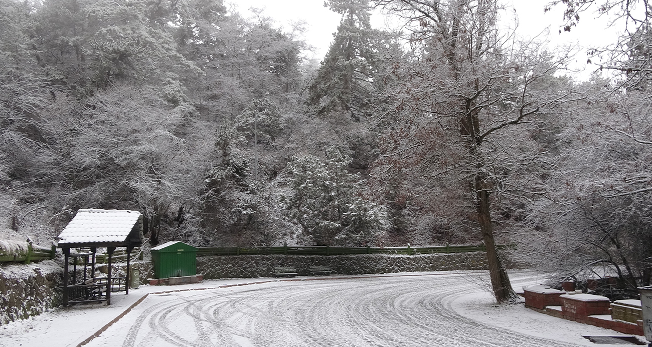 Yozgat’ta yüksek kesimlerde kar ve sis etkili oldu