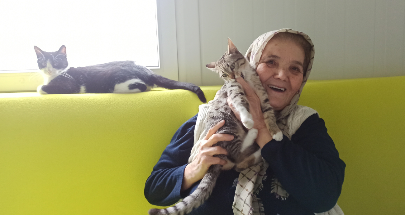 Şaziye teyze konteyner evinde kedileriyle hayatını sürdürüyor