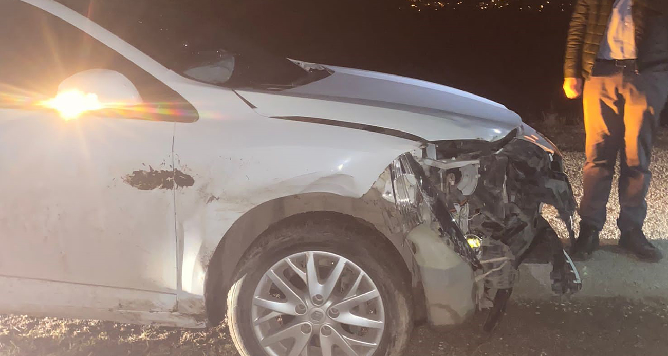 Domuz sürüsüne çarptı, maddi hasar oluştu