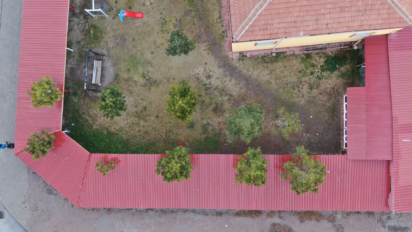 Ağaçlar kesilmedi ortaya ilginç görüntüler çıktı