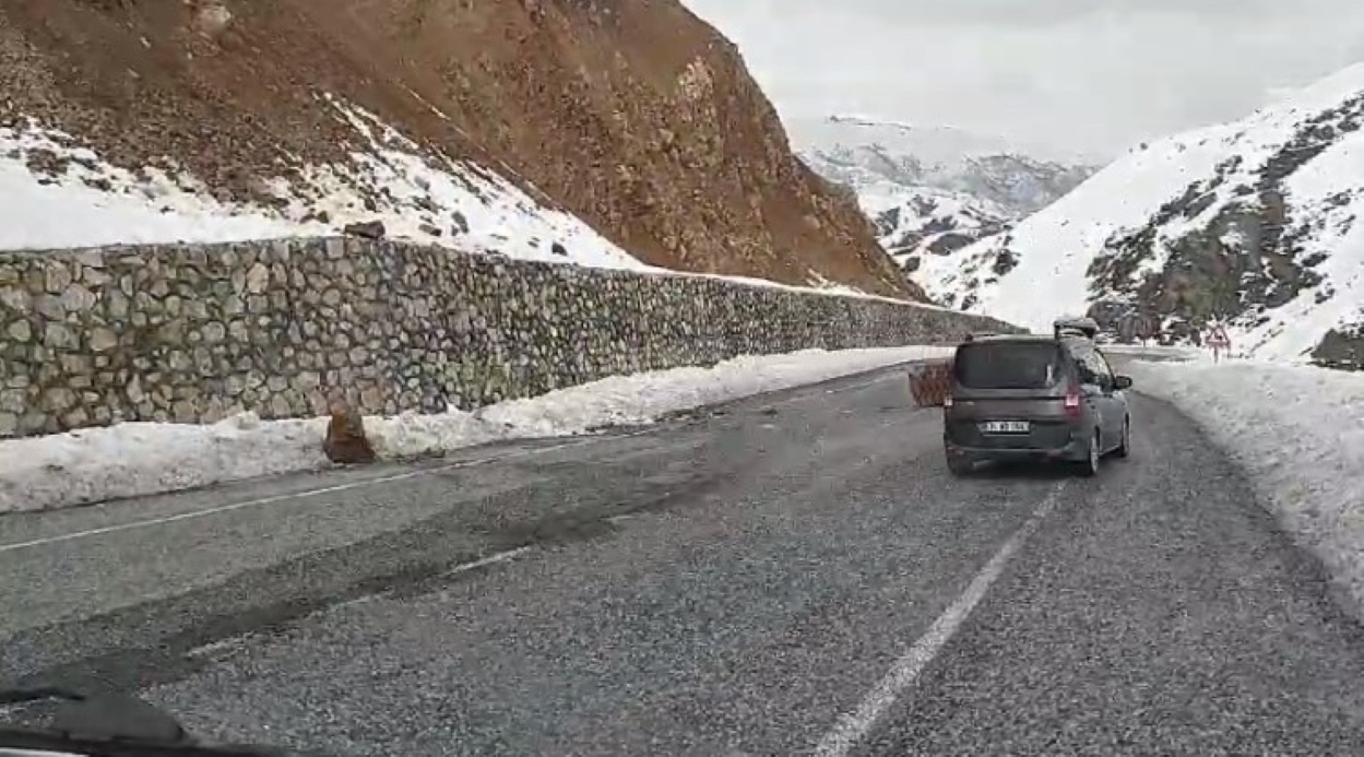 Bitlis’te yola düşen kayalar sürücülere zor anlar yaşattı