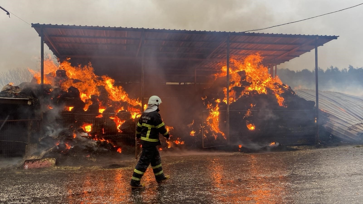 Çanakkale’de dama yıldırım düşmesi sonucu 2 bin balya saman yandı, 29 büyükbaş hayvan yanmaktan kurtarıldı
