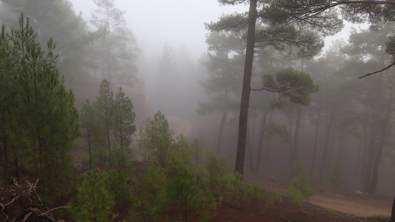 Denizli’yi kaplayan sis kartpostallık görüntüler oluşturdu