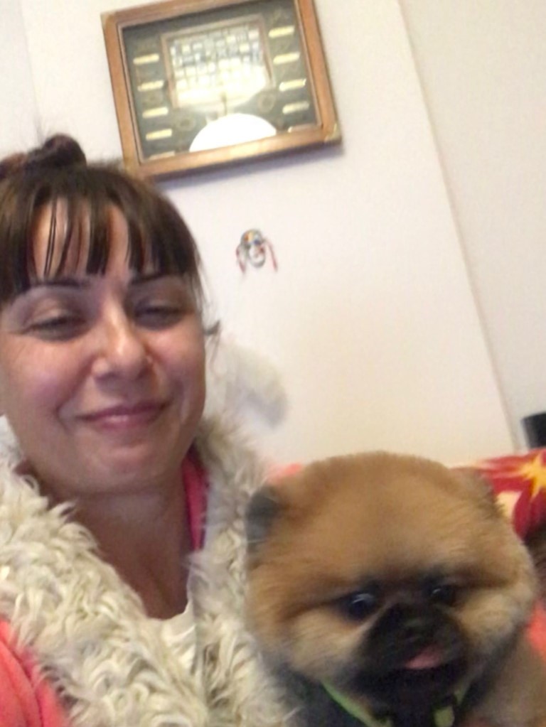 Pandemide sahiplenmesi için verdiği köpeği geri alıp vermedi, mahkemeden emsal karar çıktı