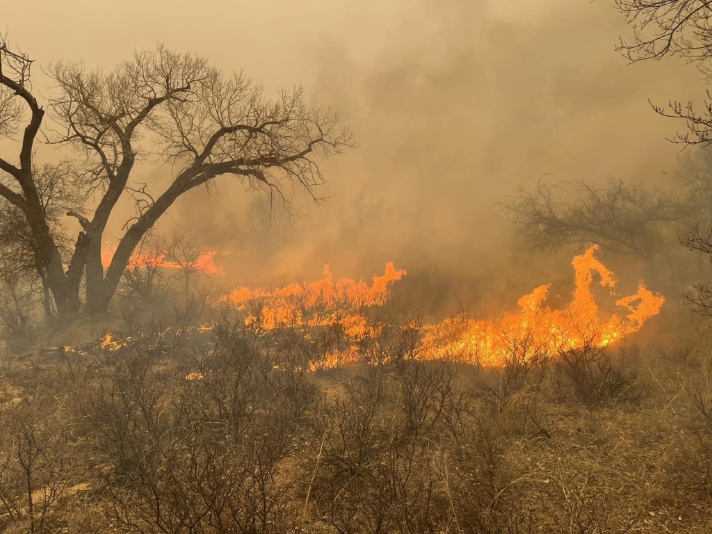 Texas’ta orman yangınları: İtfaiyeciler alevlerin arasında kaldı