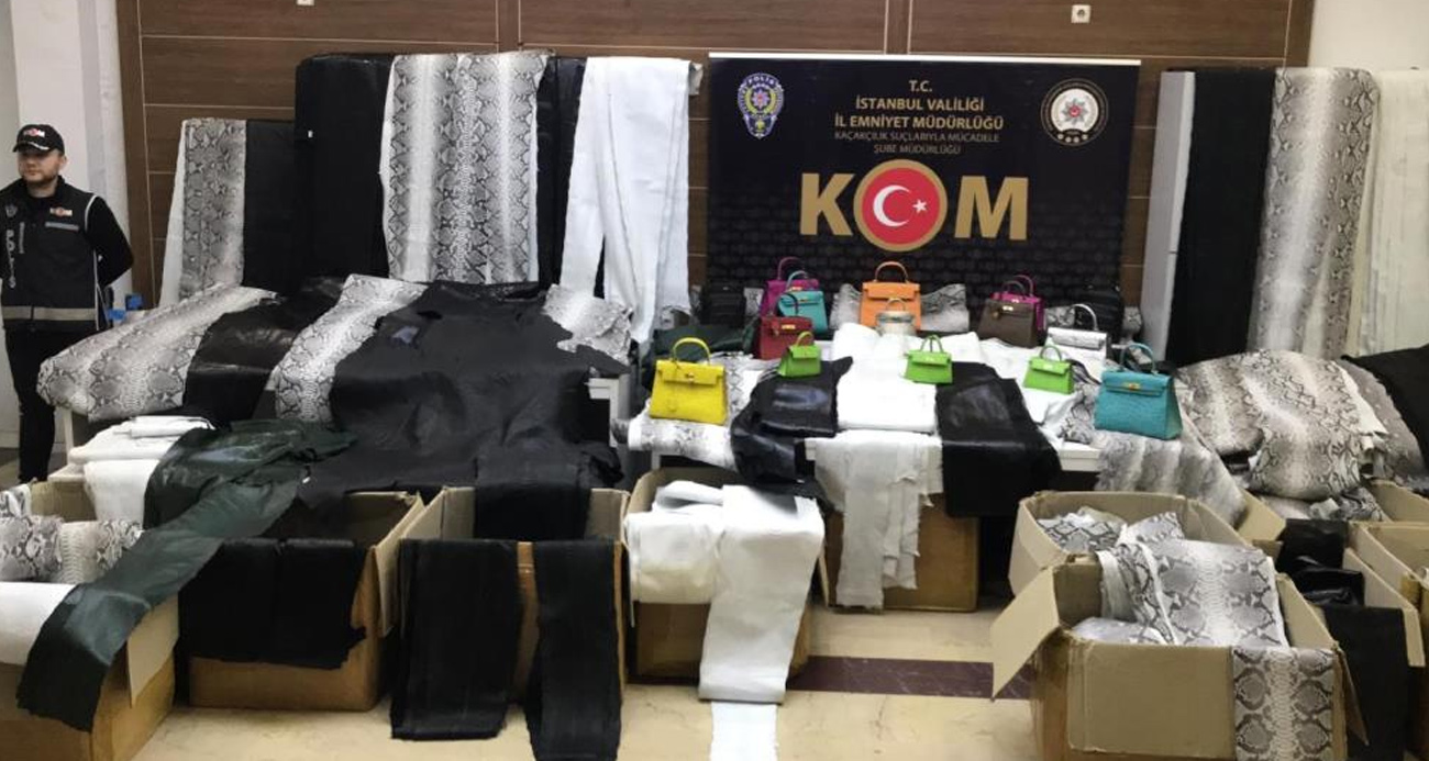 Zeytinburnu’nda deri imalathanesine baskın: Binlerce kaçak yılan ve deve kuşu derileri ele geçirildi