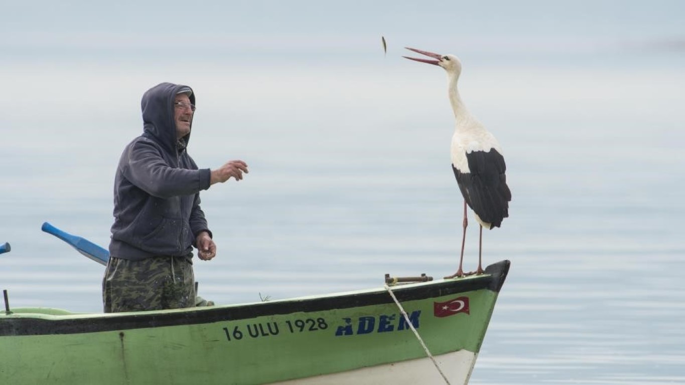 Belgesellere konu olan Yaren’in ardından eşi Nazlı da balıkçı Adem Amca’nın yanına geldi