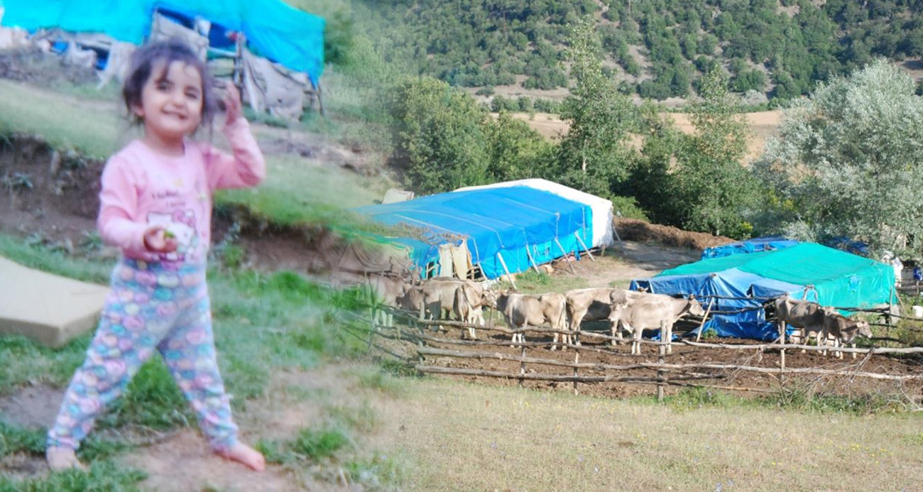 Küçük Evrim’in sır perdesi 2 bin 72 gündür aralanamadı