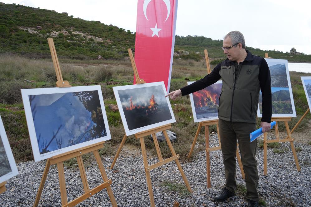 Ayvalık’ta yangınlar ile siyaha dönen ormanlar tekrar yeşiline kavuşuyor