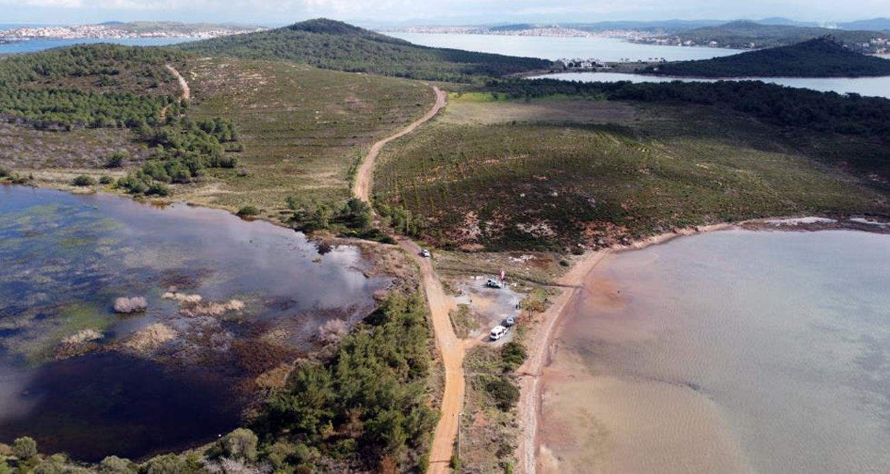 Ayvalık’ta yangınlar ile siyaha dönen ormanlar tekrar yeşiline kavuşuyor