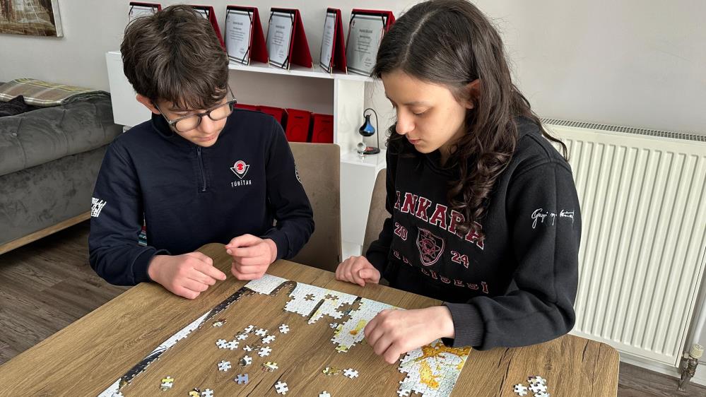 İki kardeşin matematik başarısı, Avrupa Olimpiyatlarında madalya kazandırdı