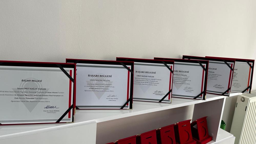 İki kardeşin matematik başarısı, Avrupa Olimpiyatlarında madalya kazandırdı